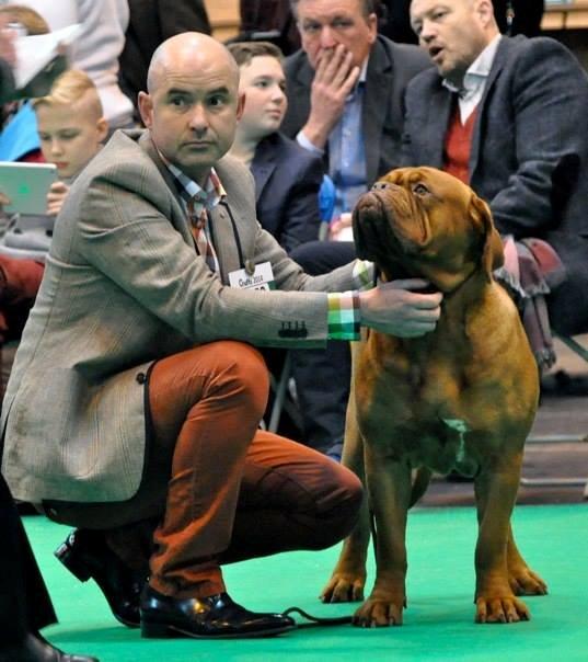 Guusje & Matthew Crufts 2014 1.jpg